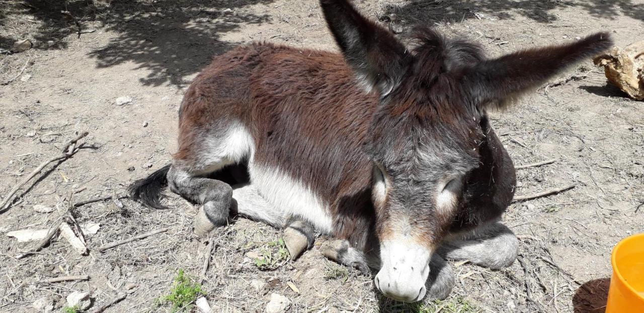 Casa Rural Entresierras Beires Zewnętrze zdjęcie