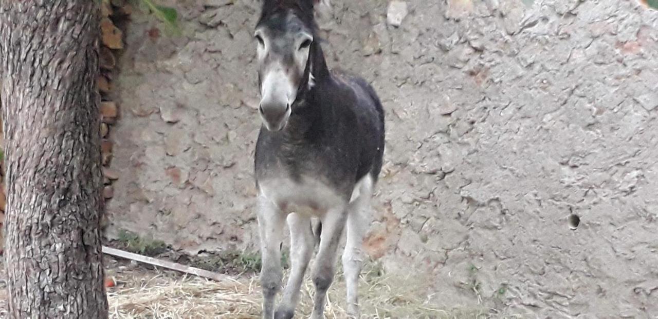 Casa Rural Entresierras Beires Zewnętrze zdjęcie
